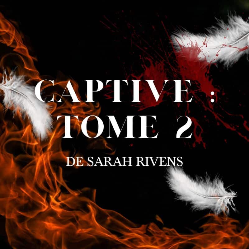 Captive Tome 2 : avis et résumé détaillé - Papier et crayon