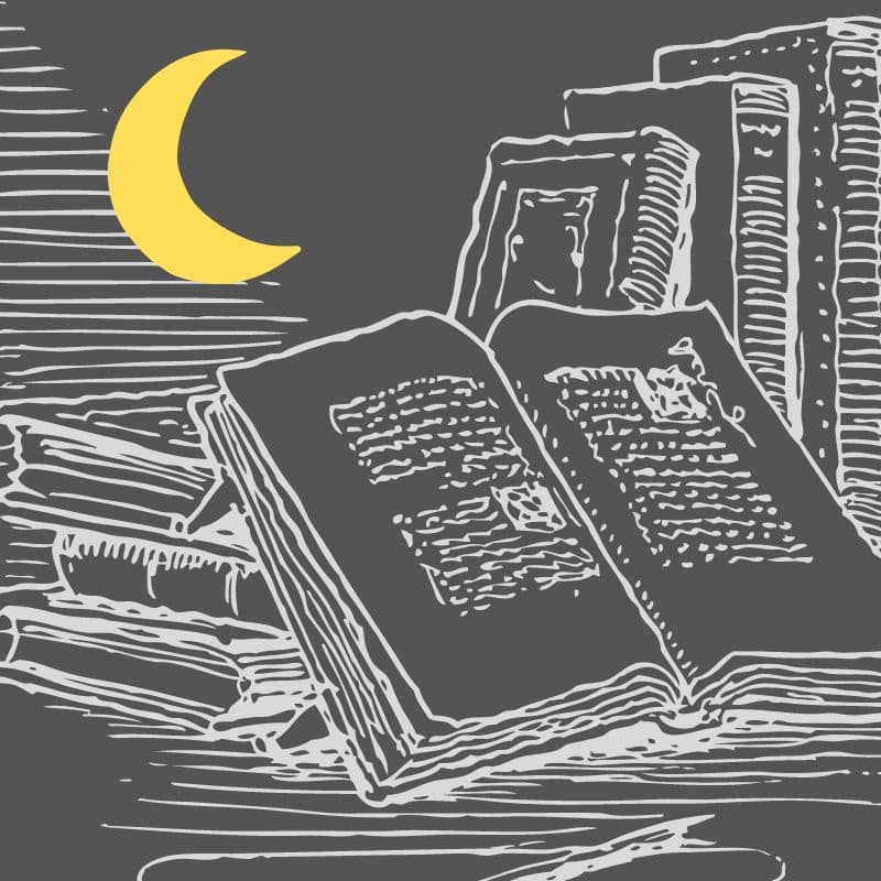 avis la machoire de cain